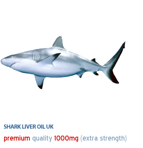 shark oil